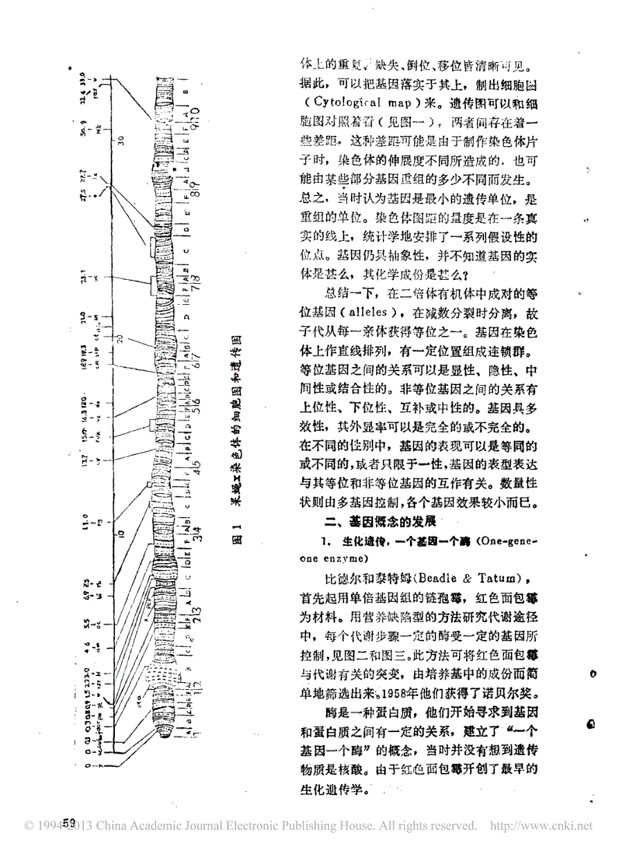 基因概念的发展胡楷_第3页