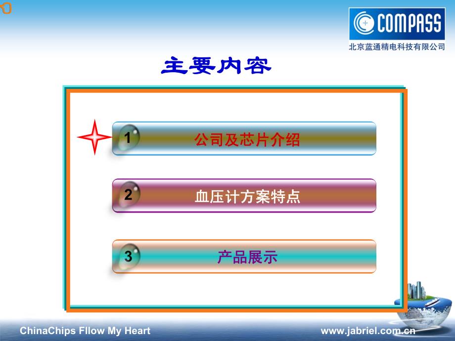 北京蓝通精电科技有限公司血压计解决方案_第2页