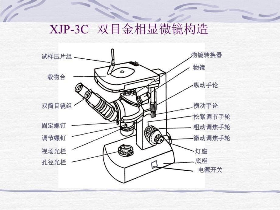 材料力学   铁碳合金平衡组织观察-课_第5页