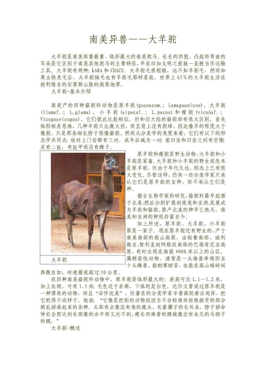 南美异兽——大羊驼_第1页