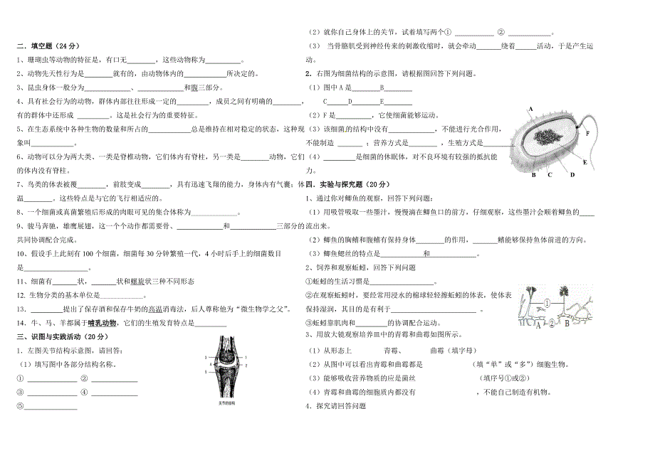 人教版八年级上册生物期末检测试卷(附答案)1_第3页