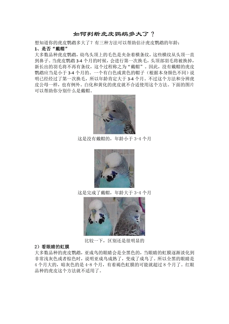 如何判断虎皮多大_第1页