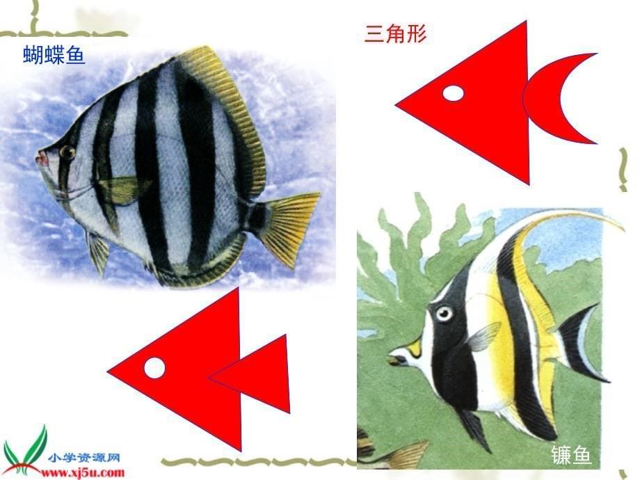 （浙美版）一年级美术上册课件 大鱼和小鱼 1_第5页