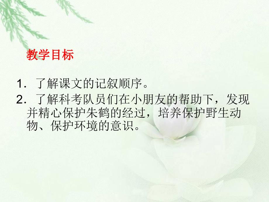 （北师大版）四年级语文课件 朱鹮飞回来了_第2页