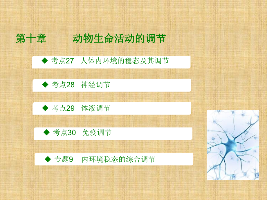 【全国版】2018版高考生物一轮突破课件：第10章-动物生命活动的调节（91页）_第1页