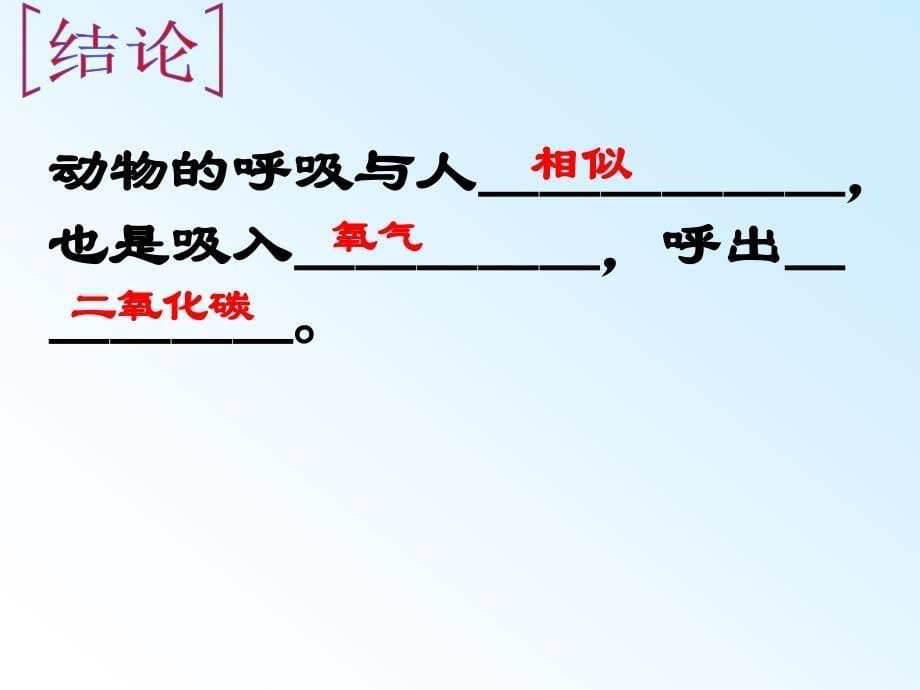 动植物的呼吸_第5页