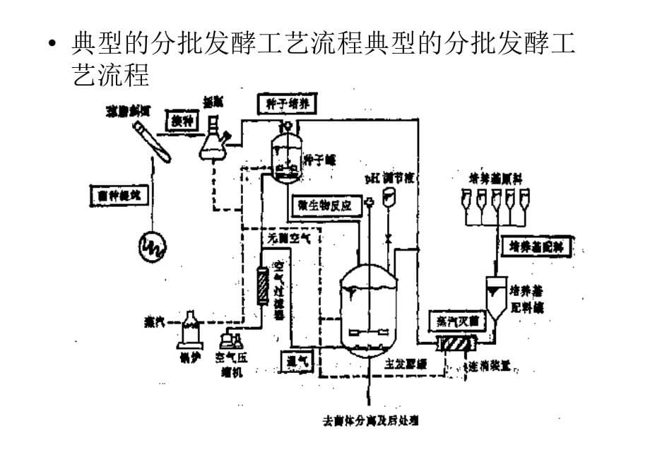 发酵工艺控制_第5页