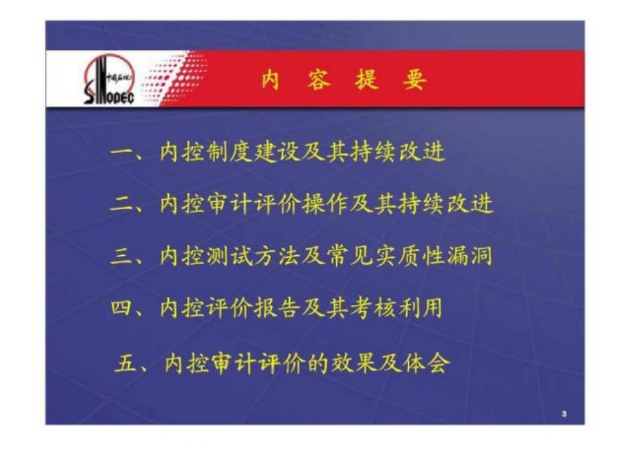中国石化-企业内部控制评价与改进_第3页