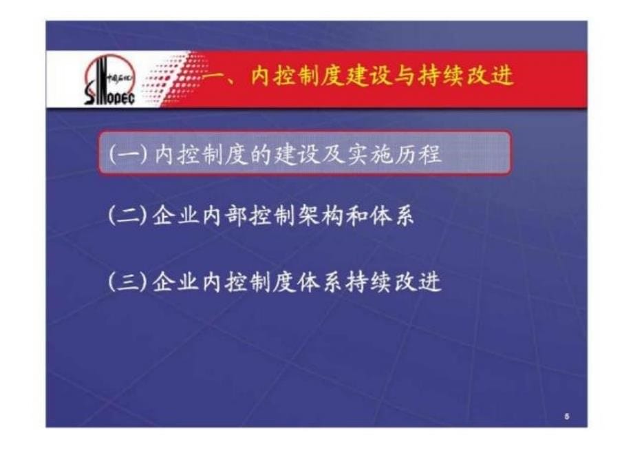 中国石化-企业内部控制评价与改进_第5页