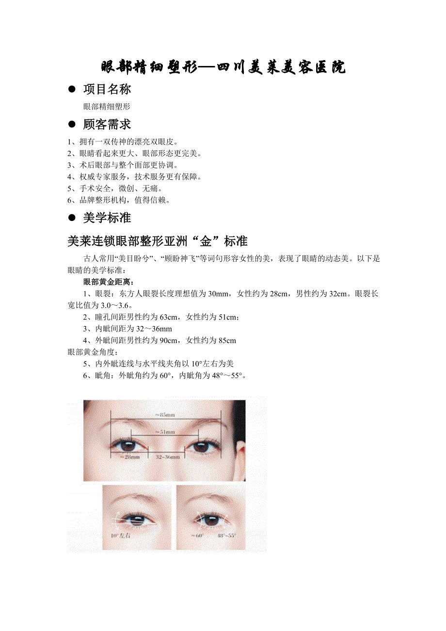 美莱眼部精细塑形项目_第1页
