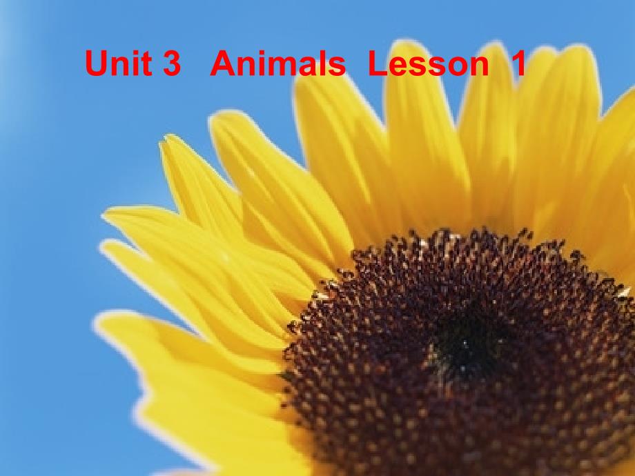 （人教新起点标准版）一年级英语上册课件 Unit3 lesson1_第1页