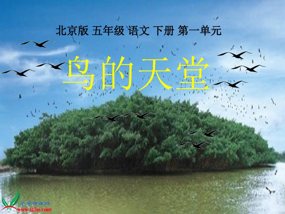（北京版）五年级语文下册课件 鸟的天堂 3_第1页