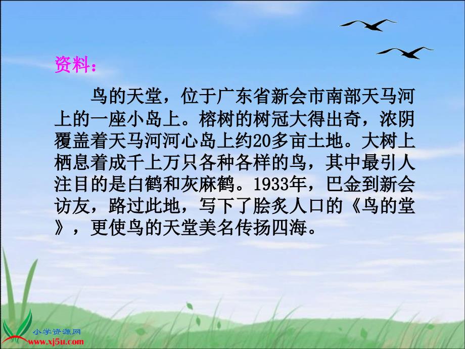 （北京版）五年级语文下册课件 鸟的天堂 3_第2页