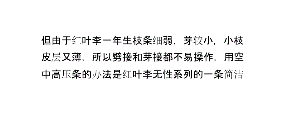 红叶李苗木空中压条育苗方法_第3页