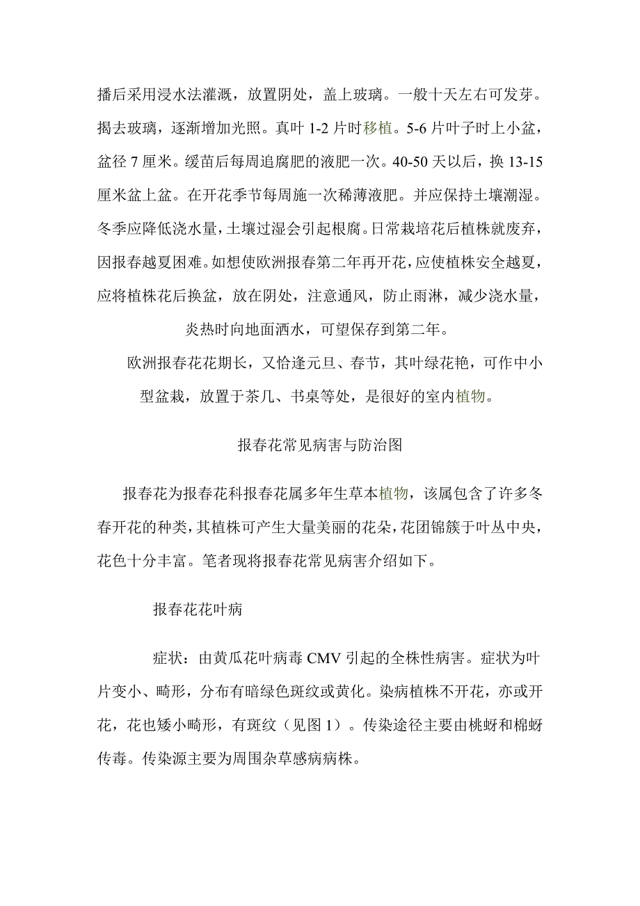 花卉资料(报春花)_第3页