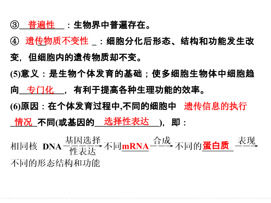 2018届高考一轮：第13讲《细胞的分化、衰老、凋亡和癌变》课件（含答案）_第3页