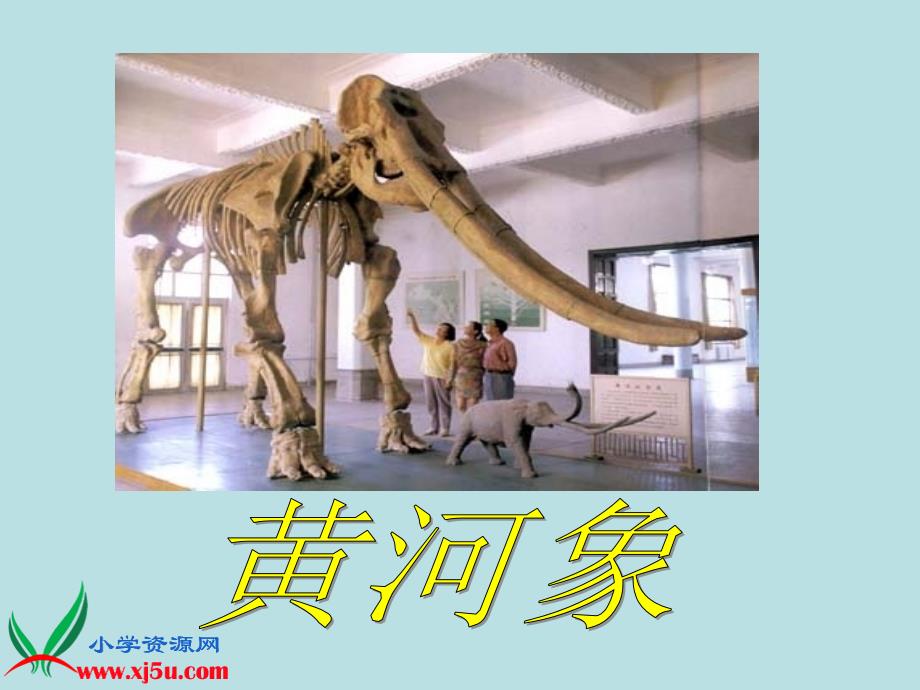 （北师大版）五年级语文上册课件  黄河象 2_第1页