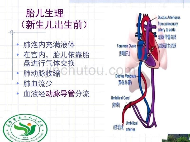 新生儿窒息讲稿1_第5页