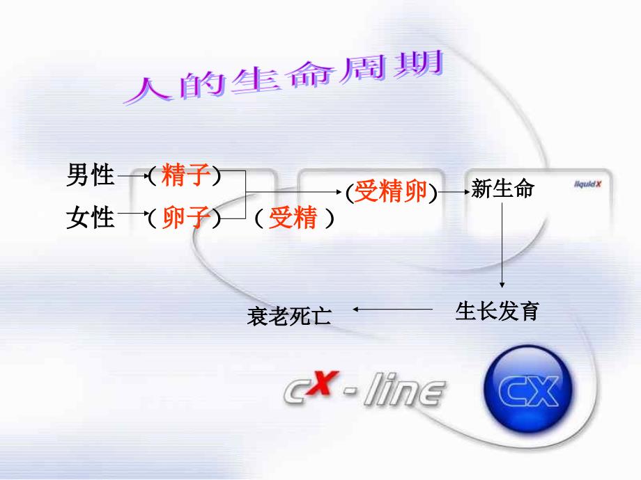 动物新老个体的更替  (浙教版)_第1页