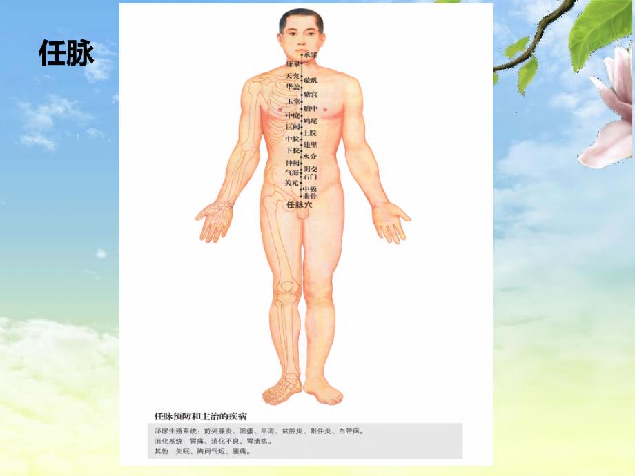 十四经脉任、督、心包_第4页