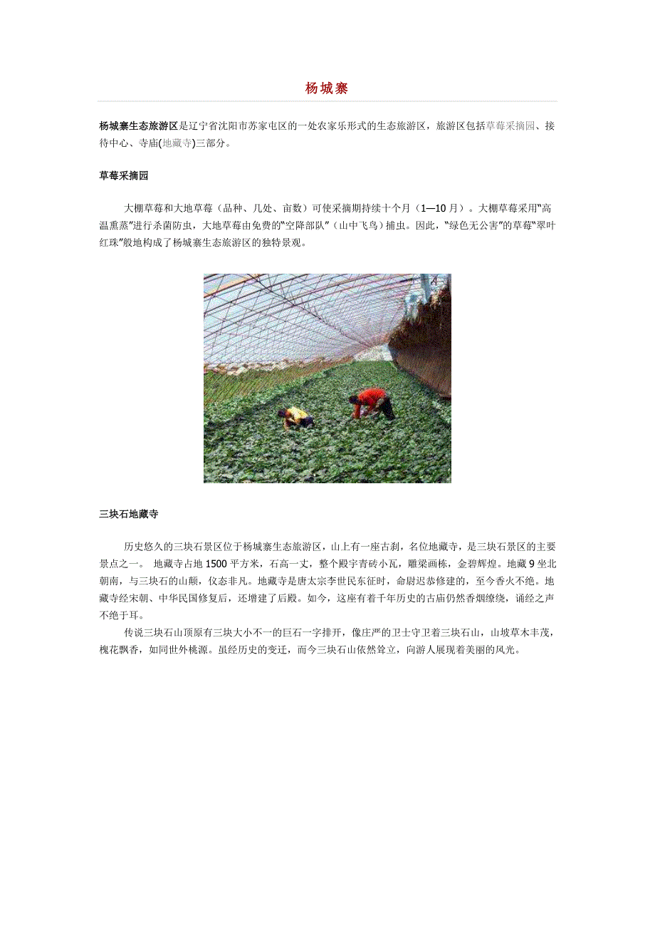 杨城寨草莓采摘一日游_第1页