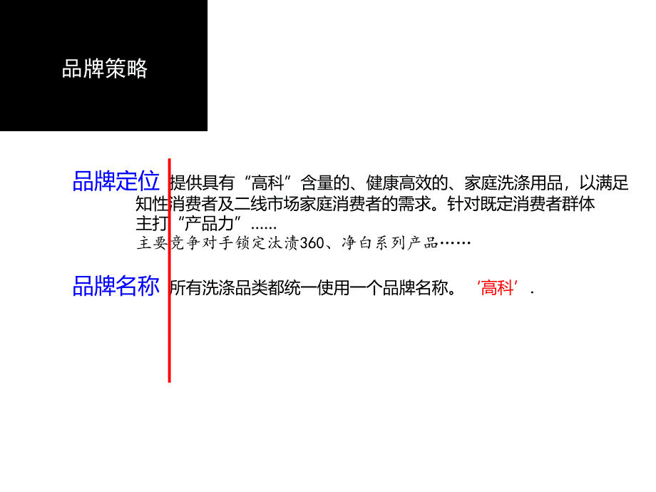 高科日化项目营销计划_第4页