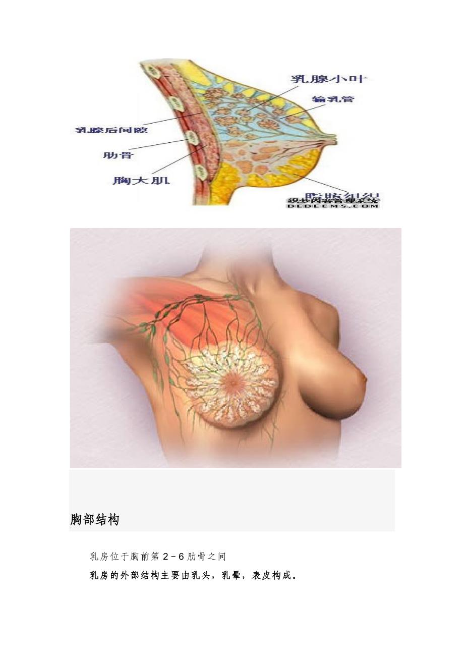 美容专业乳腺保养大全套_第3页