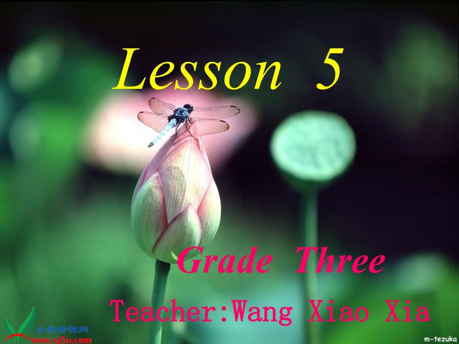 （人教新版）三年级英语下册课件 Unit 1 Lesson 5_第1页