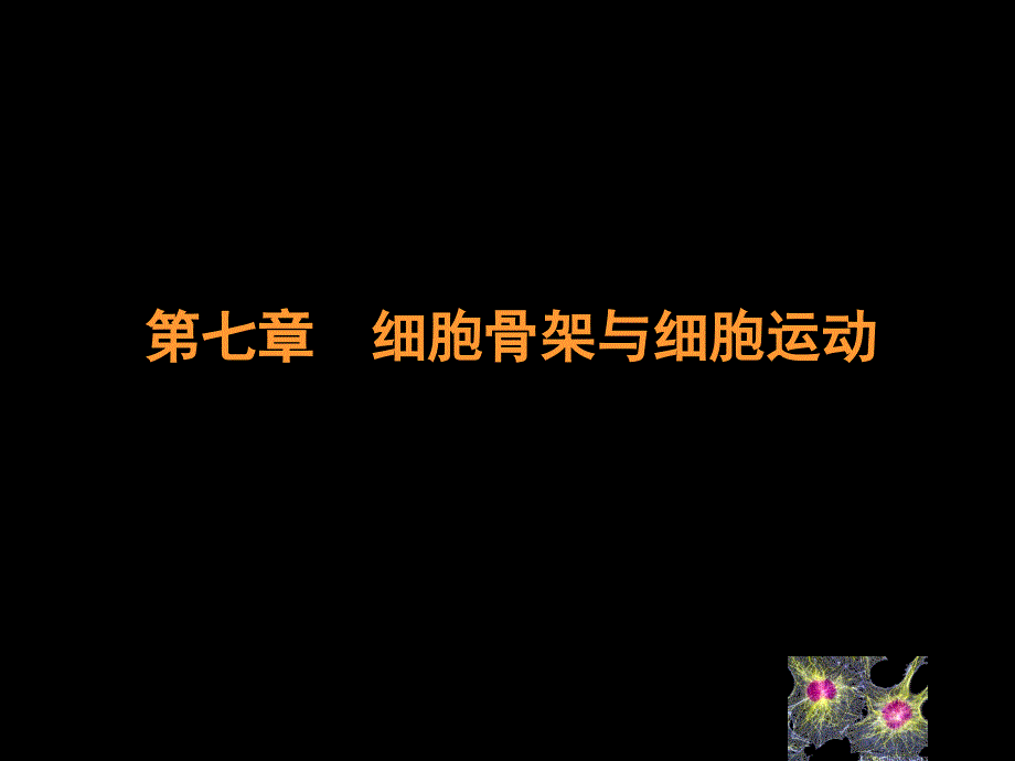 细胞生物学  细胞骨架与细胞运动_第1页
