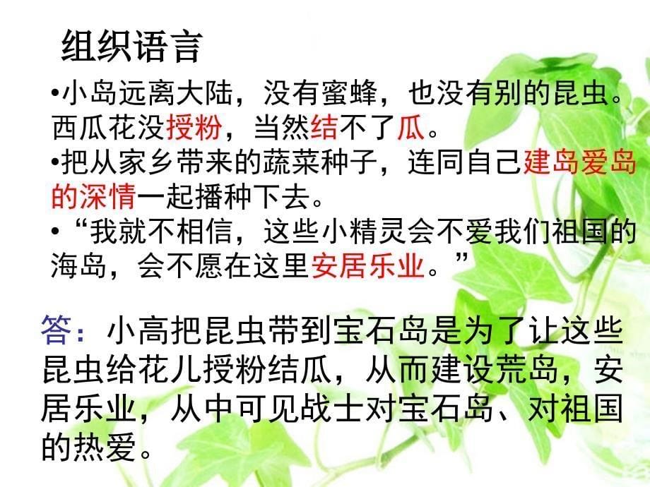 （人教新课标）六年级语文上册课件 彩色的翅膀 3_第5页