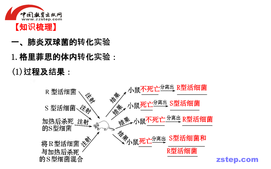 【人教版】高考生物总复习课件：必修2-3-1DNA是主要的遗传物质_第3页