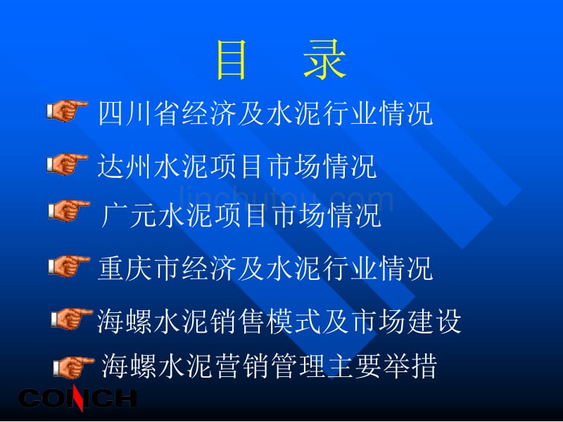 川渝市场及海螺水泥市场建设介绍_第2页