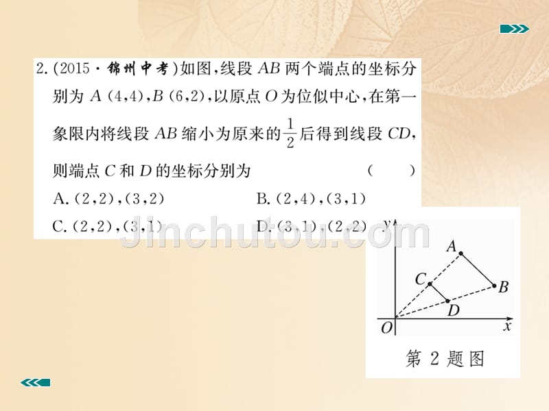 【北师大版】2017年九上：4.8.2《平面直角坐标系中的位似变换》习题课件_第3页