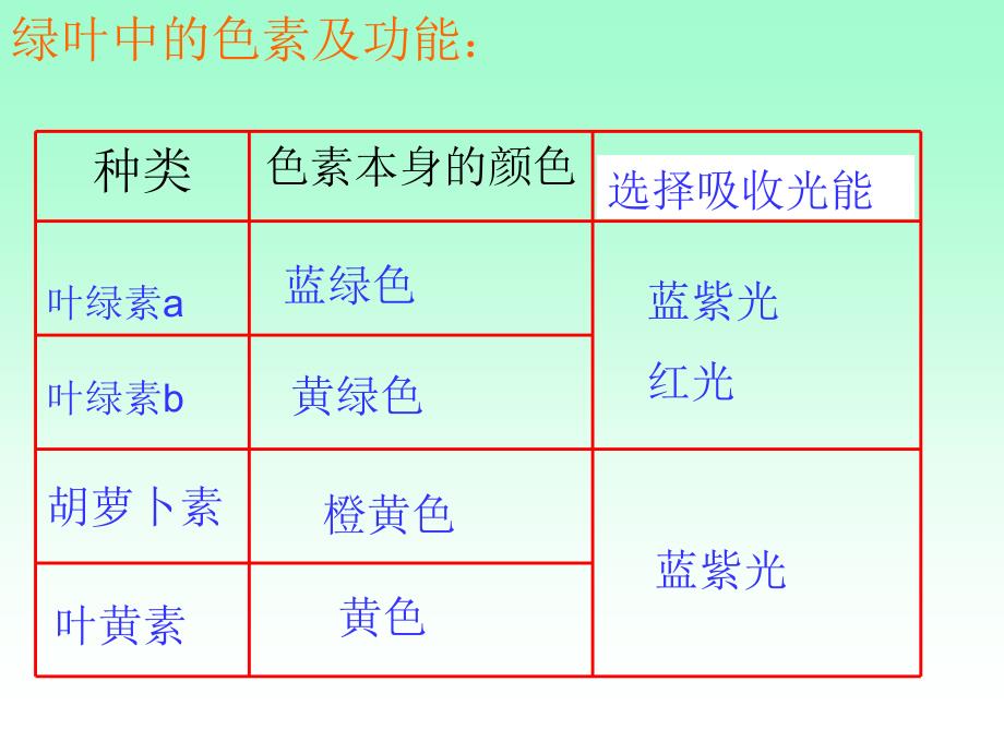 【必修1】5.4 能量之源—光与光合作用3 [最新]_第4页