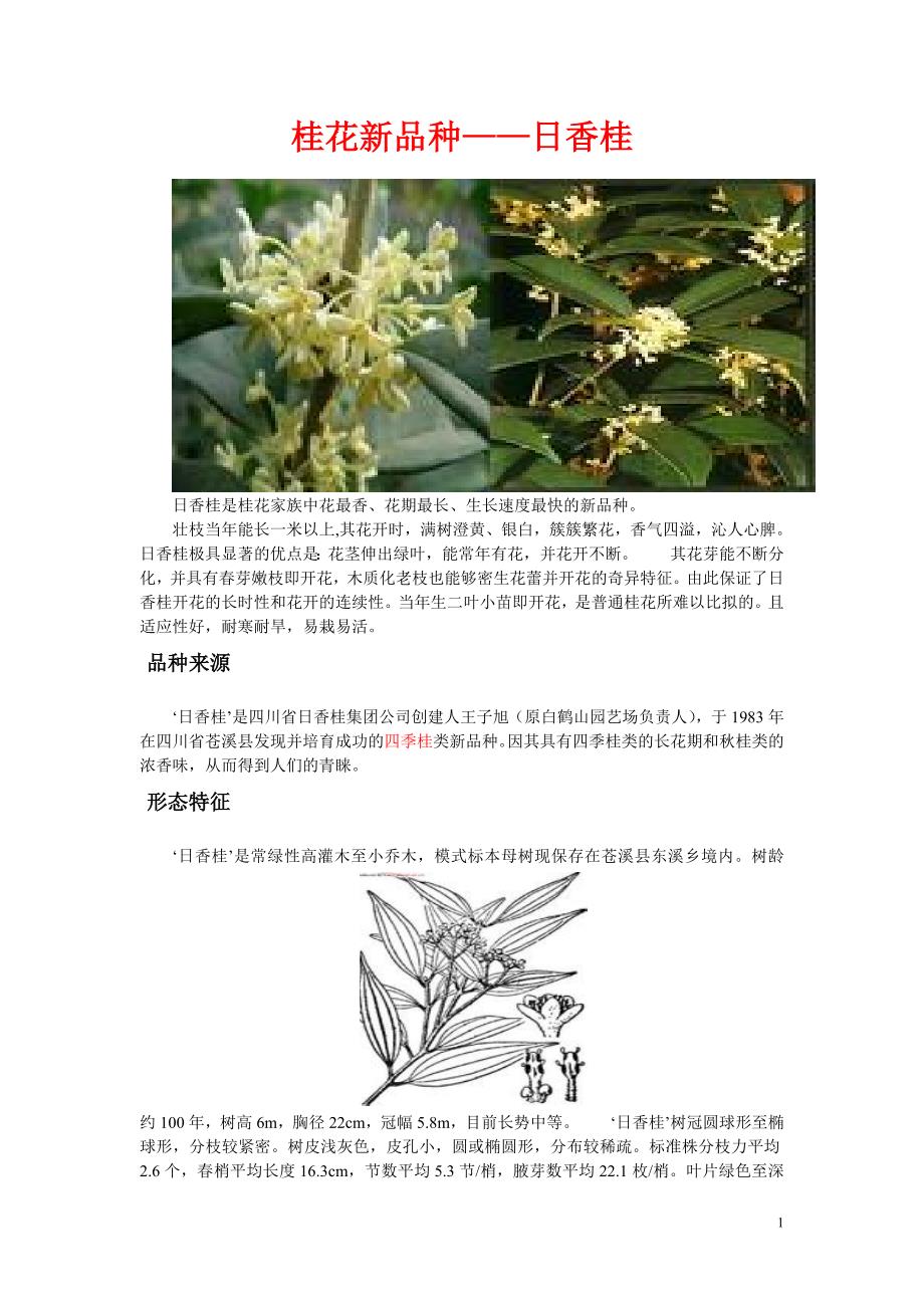 日香桂种属概述_第1页