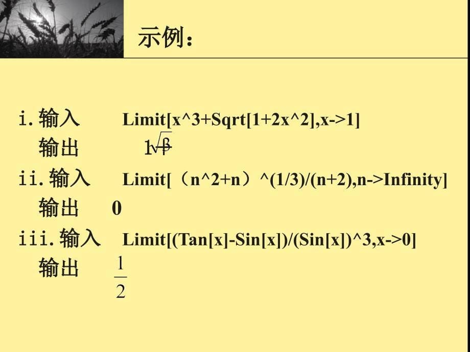 经济高数实验二_第5页