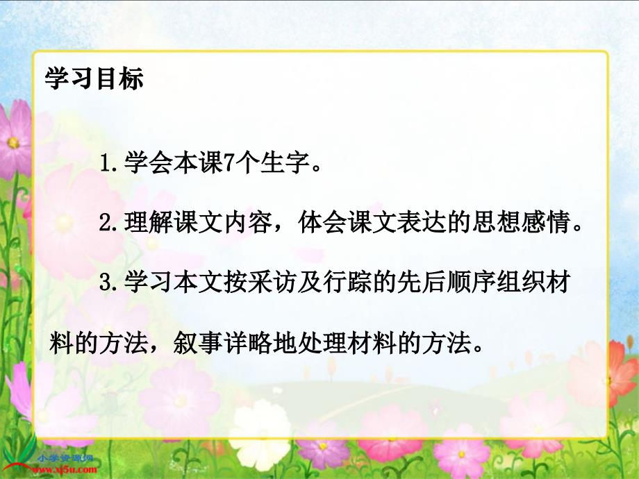 （湘教版）六年级语文上册课件 采访对象是棵树 1_第2页