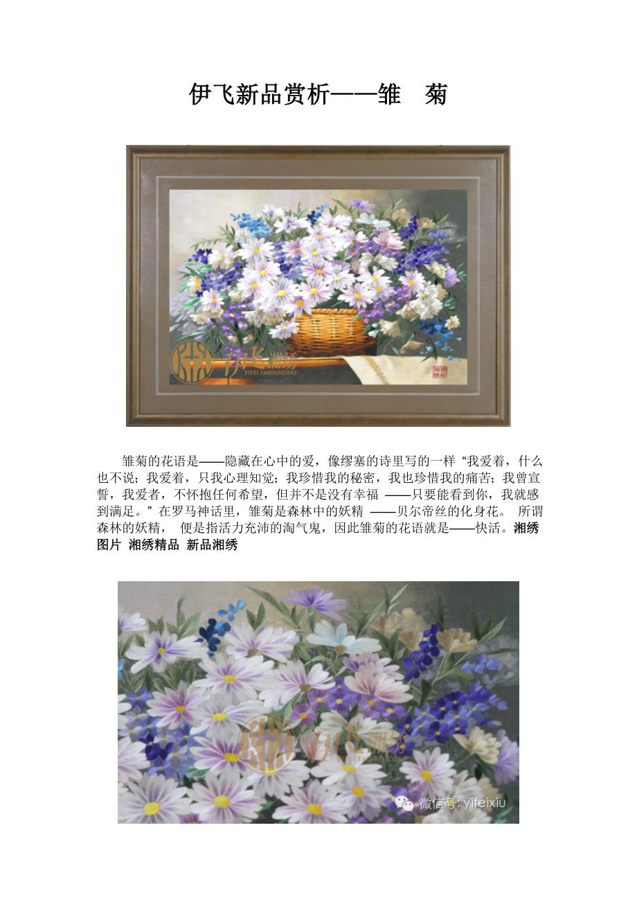 伊飞新品赏析——雏菊_第1页