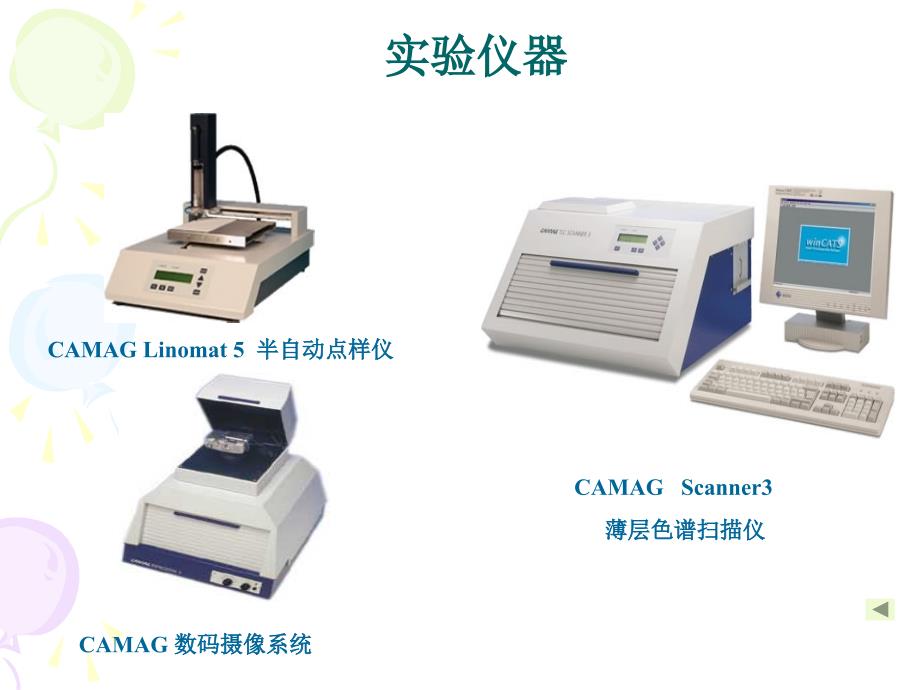 红酒的薄层色谱分析_第3页