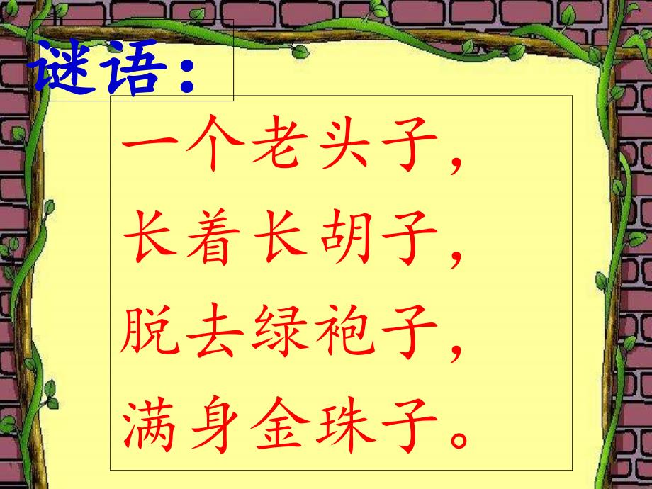 2015年春湘教版语文二年级下册《金色的玉米棒》ppt课件_第1页