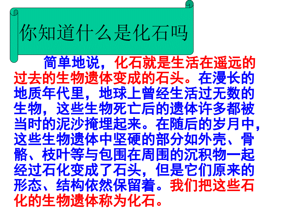 2018人教版语文六年级下册综合复习6《琥珀》PPT课件_第2页