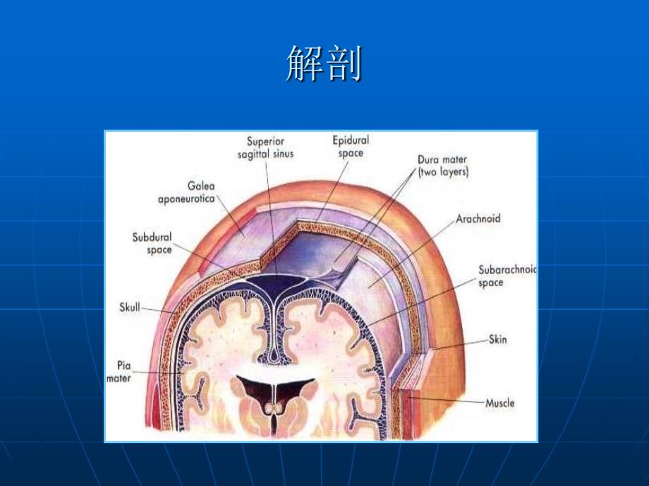 颅脑外伤文字版幻灯片_第3页