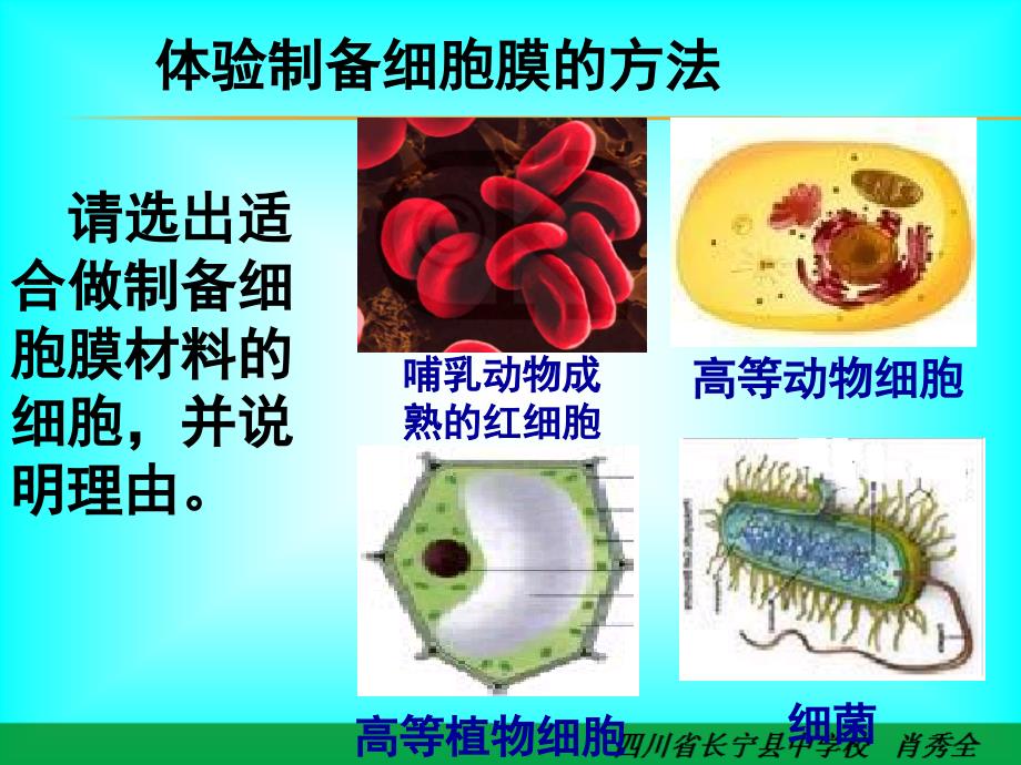 细胞膜——系统的边界 (实用,简洁)_第4页