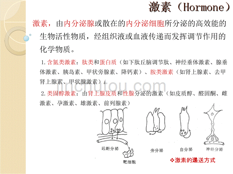 内分泌21幻灯片_第5页