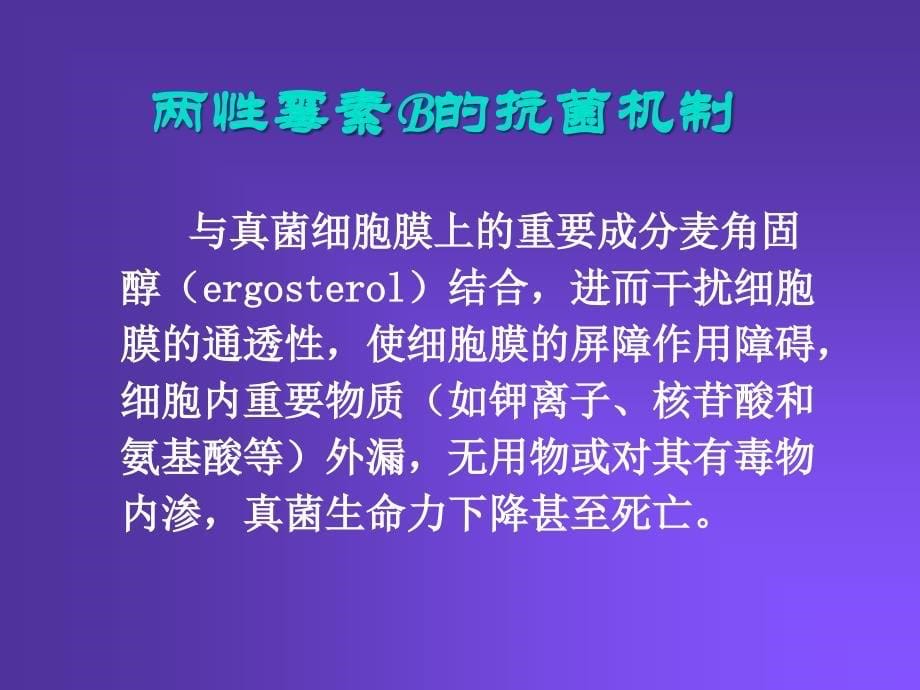 抗真菌药物幻灯片_第5页