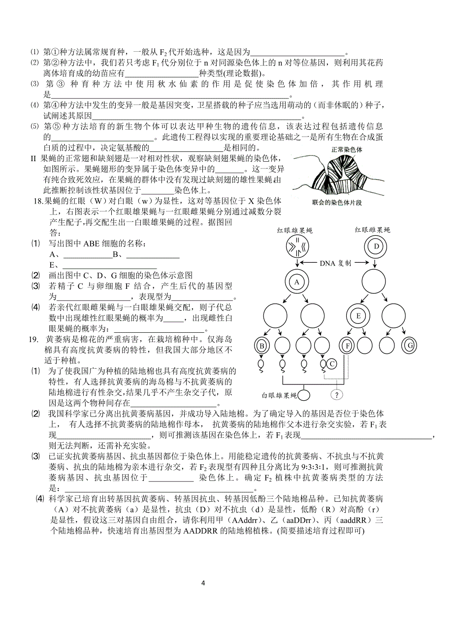 生物5月25日_第4页