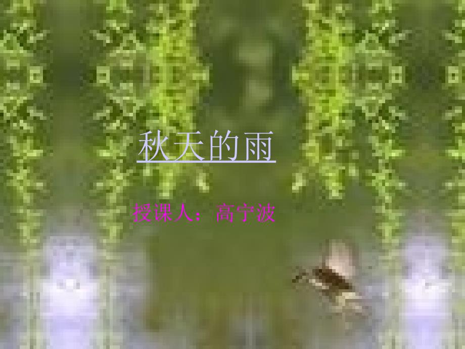 11秋天的雨ppt课件-新课标人教版小学三年级_第1页