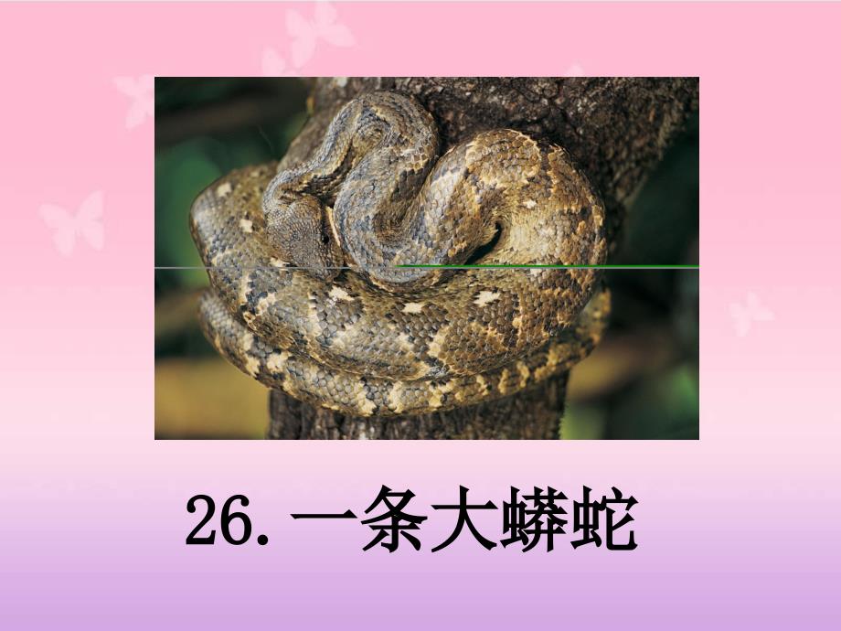 26一条大蟒蛇ppt课件-沪教版小学二年级_第1页