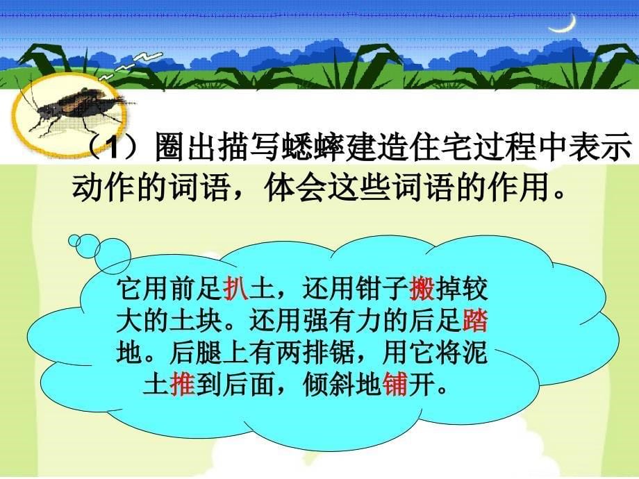 7蟋蟀的住宅第二课时ppt课件-新课标人教版小学四年级_第5页