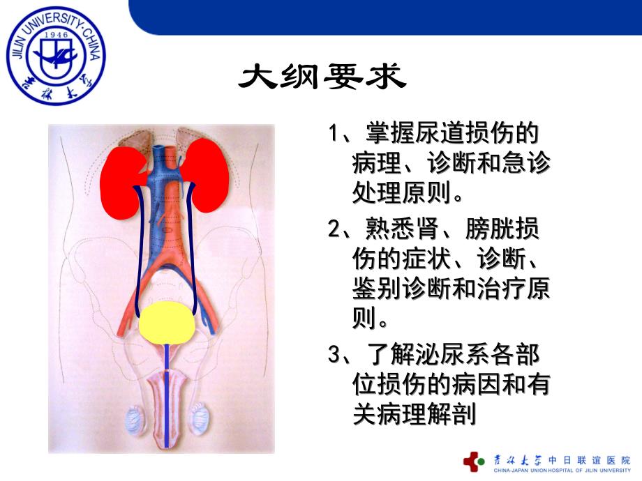 泌尿系损伤61幻灯片_第2页